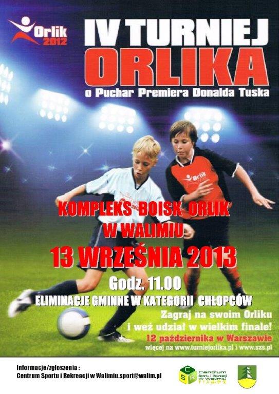 turniej o puchar D T 2013